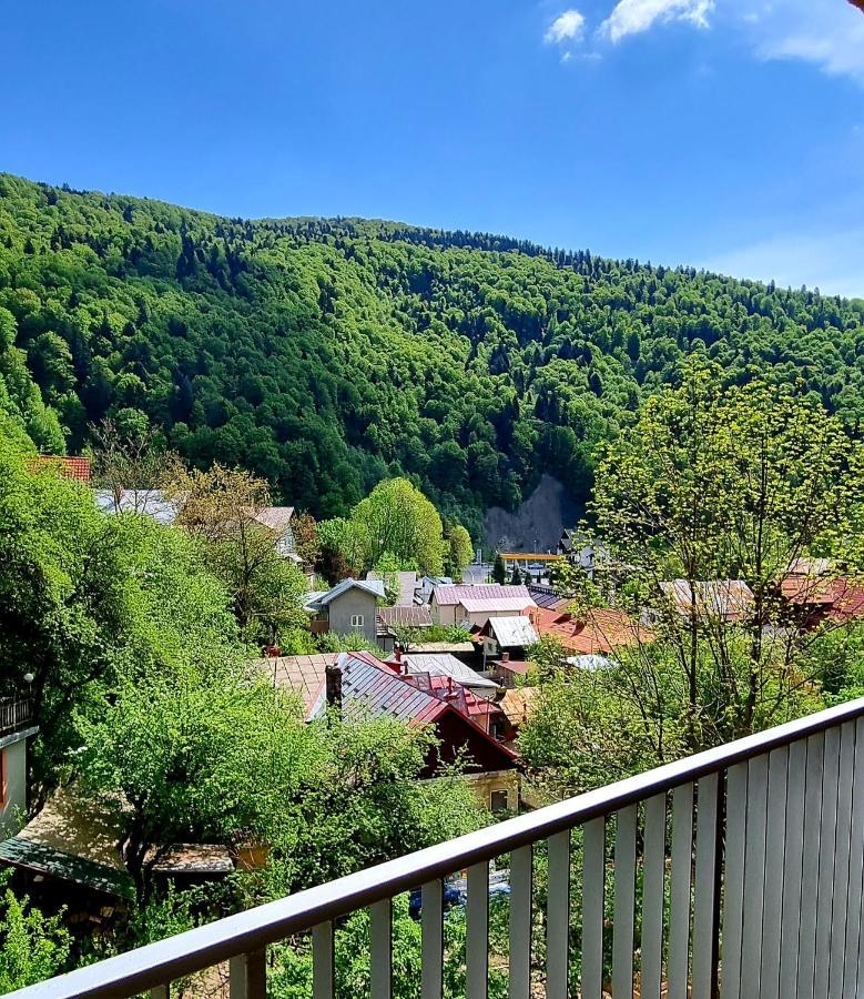 Sara Apart Belleview Sinaia Exterior foto